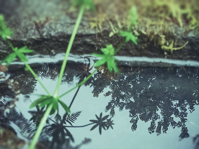 いきいき、キレイに。